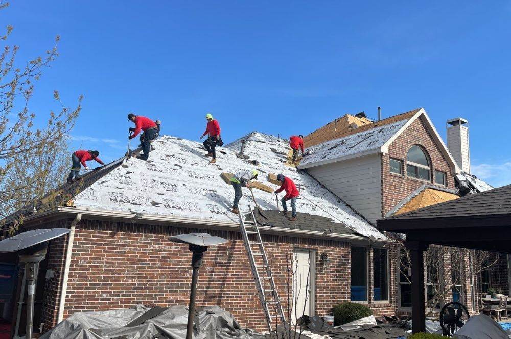 Reasons to Hire a Professional Contractor for Roof Repair 